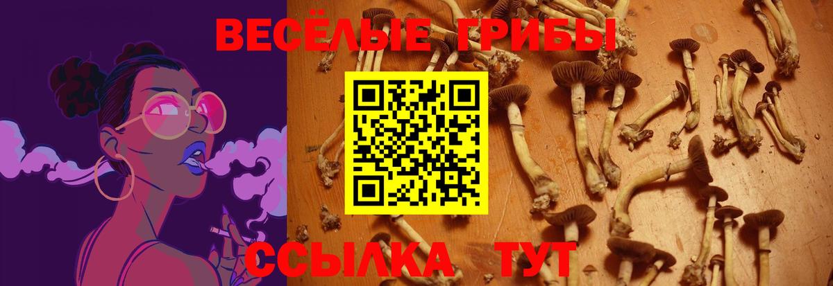 Галлюциногенные грибы прущие грибы Зерноград